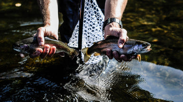 It started on a napkin.