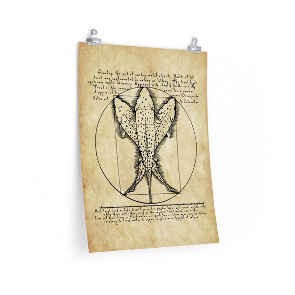 Vitruvian Trout -  Fly Fishing Art Print
