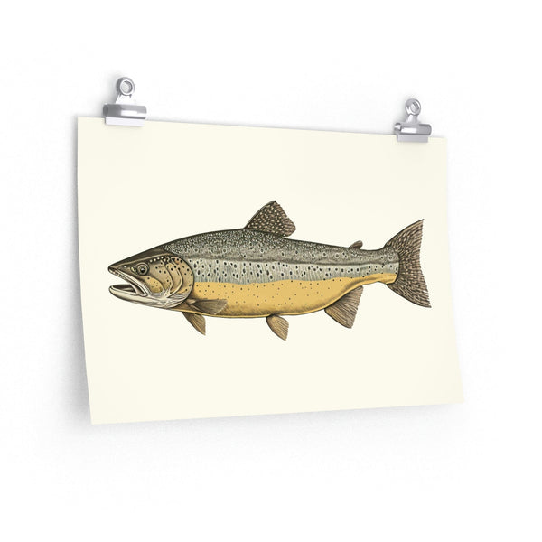 Vintage Style Brown Trout - Art Print