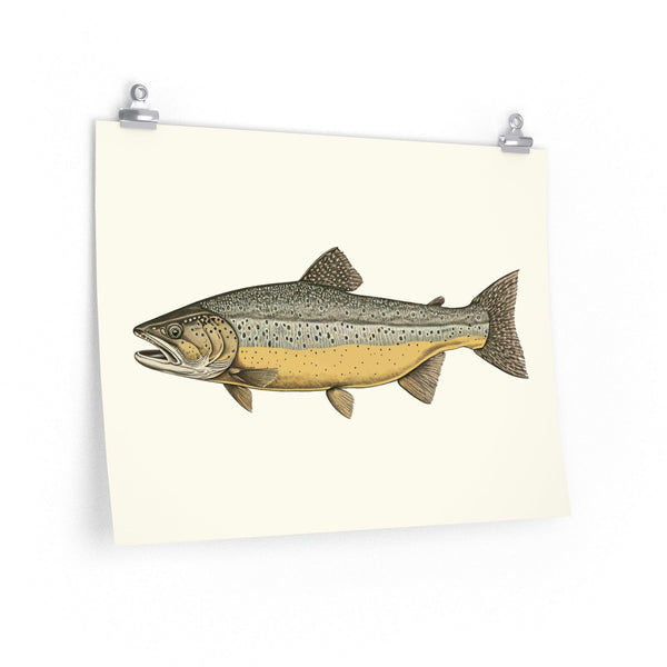 Vintage Style Brown Trout - Art Print